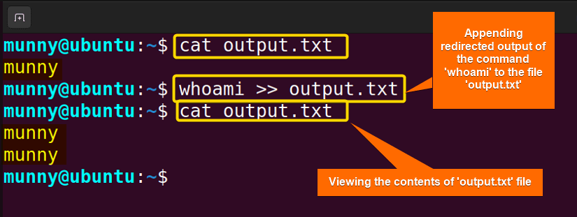 Bash appending output
