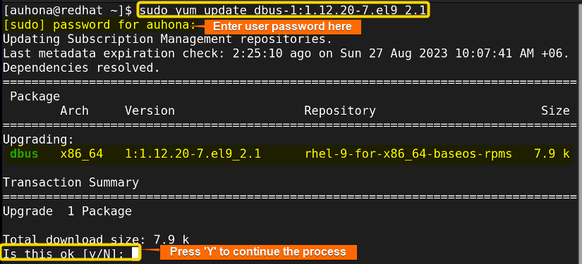 Updates 'dbus' to the specified update version mention in the command.