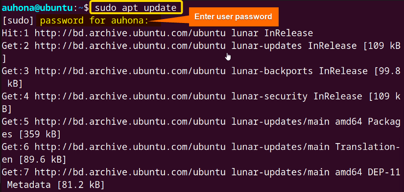 I've fetched the latest information about the available packages using sudo apt update command.