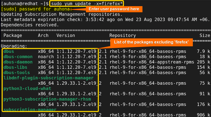 Excludes 'firefox' package while updating all the packages of the system