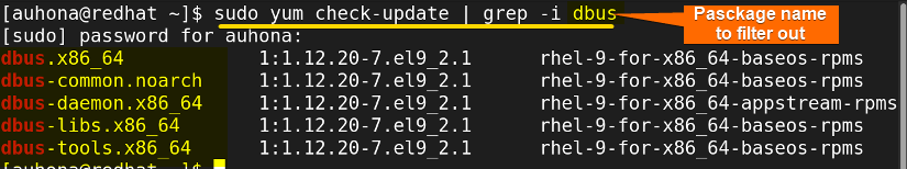 I've filtered out a list of information on update packages based on specific keyword 'dbus' using the command 'sudo yum check-update | grep -i dbus' command.