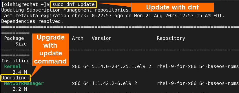 Update all packages with dnf