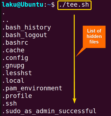 Output showing in terminal using tee command
