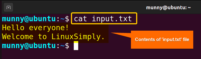 Text file content