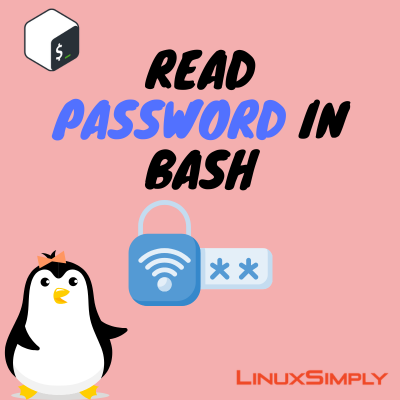 bash read password