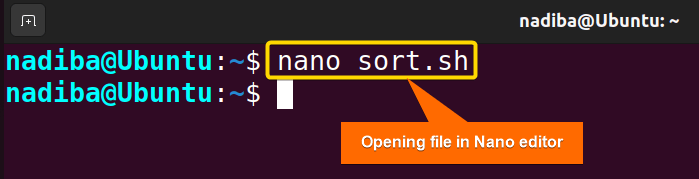 Opening file in Nano text editor