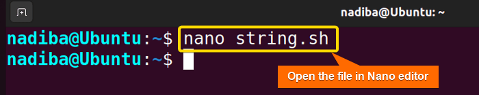 Opening the file in Nano text editor
