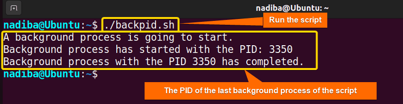 Process ID of the last executed background command in the script for special variables