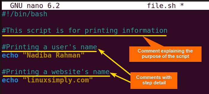 Comments within codes in a Bash script