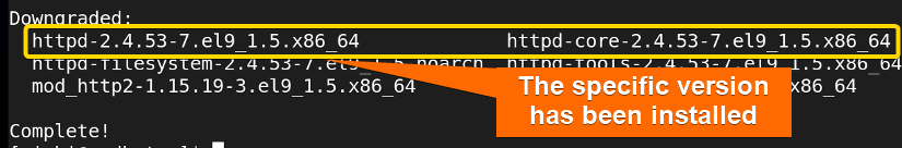 Showing the specific version of the installed package with yum