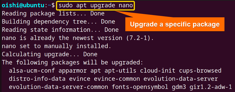 Upgrade a specific package