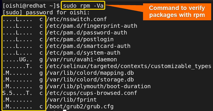 Verify all packages with rpm