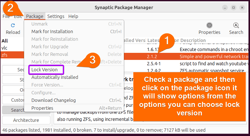 Lock versions with synaptic