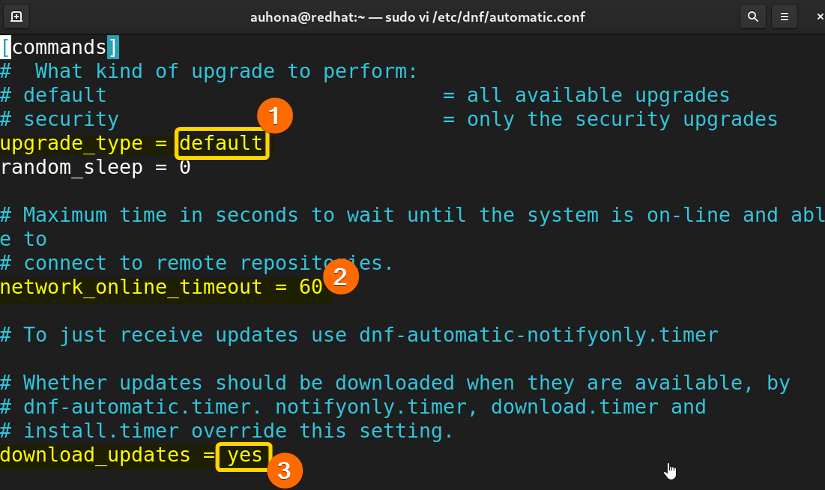 Opens the file that include 'upgrade type', 'network-outline-timeout', download-updates options