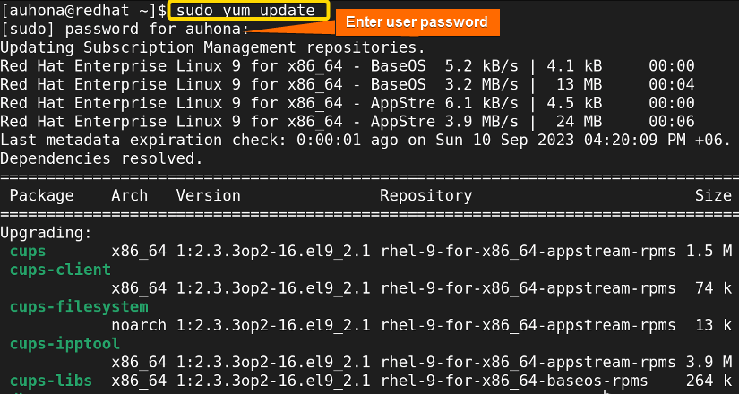 Updates all the installed packages with the latest versions. 