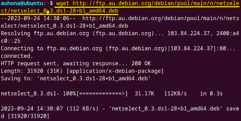 Installs netselects.