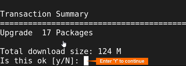 User give the permission to continue the update process typing Y. 