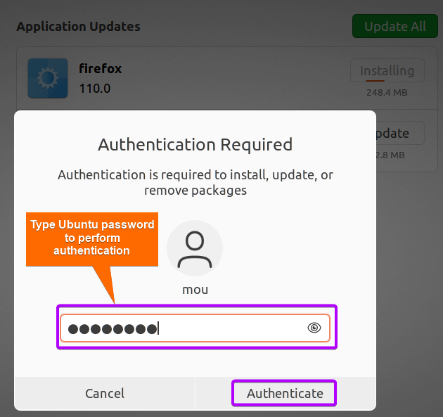 an authentication window