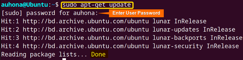 Runs apt-get update command to check if it's working or not.