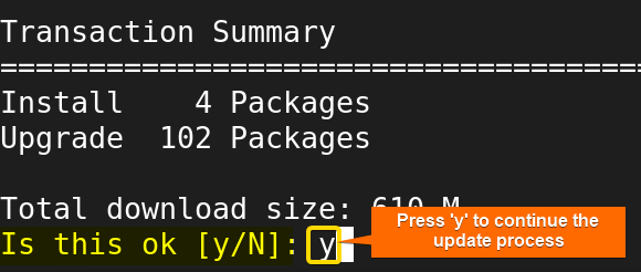 User types 'y" to continue the update process. 