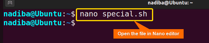 Opening file in Nano editor