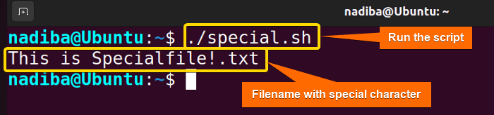 Output of special character interpretation in Bash