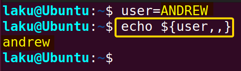 Lowercasing whole parameter using parameter expansion in Bash