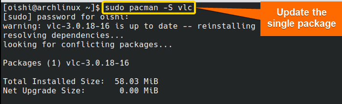 Update a single package