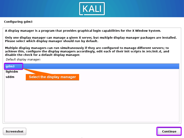 Select the display manager