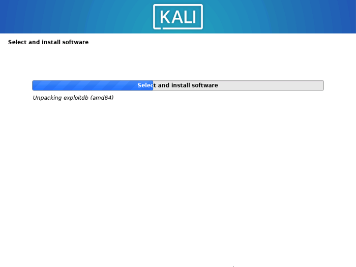 After selecting the system display, installation continues