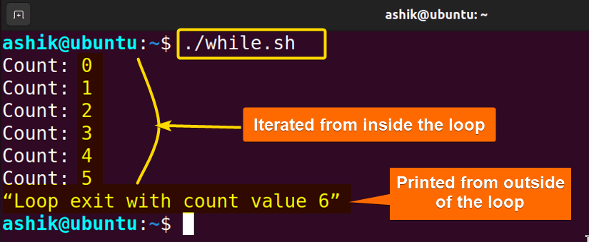 Executing while.sh script
