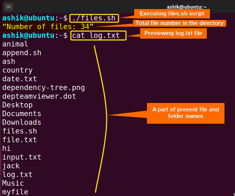 Executing files.sh script