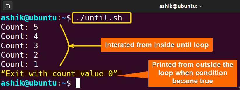 Executing until.sh script