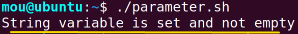 checking if a variable exists in bash if statement using parameter expansion method
