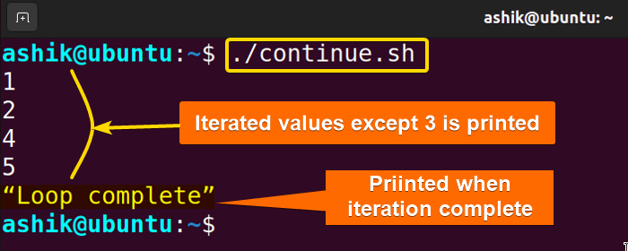 Executing continue.sh script