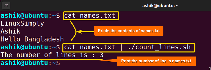 Read file from pipe and count lines in it