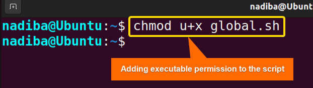 Adding executable permission to the script
