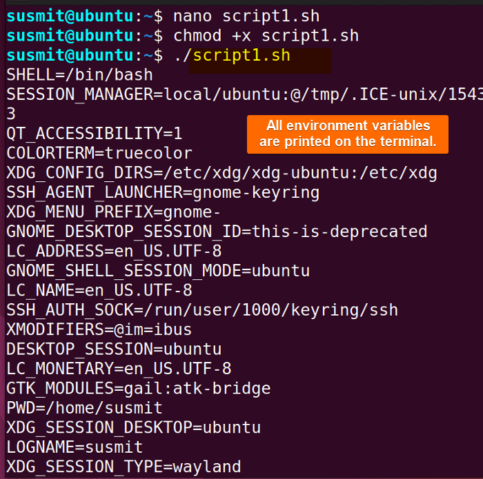 All environment variables are printed on the terminal.