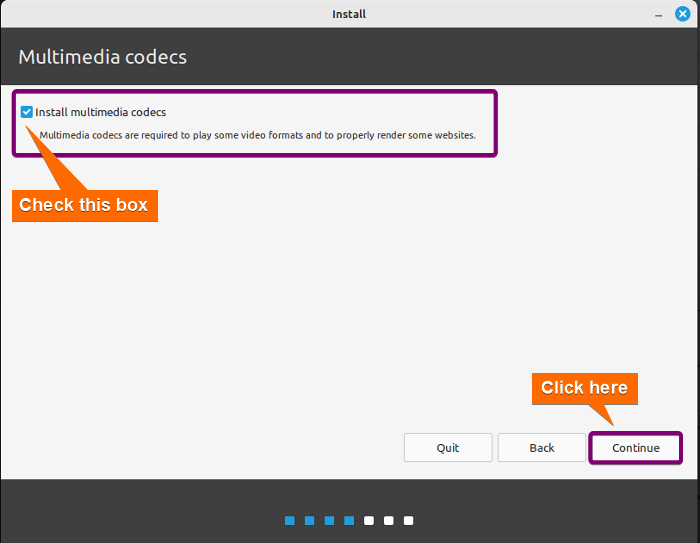Clicked the checkbox to install multimedia codecs