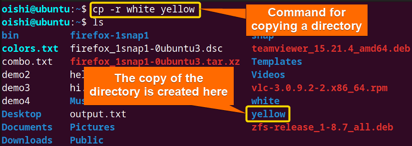 Copy of the directory with cp command in bash