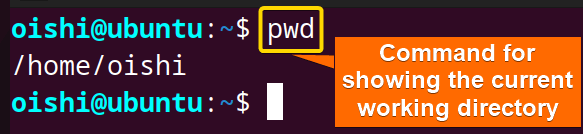 Showing the current directory with pwd