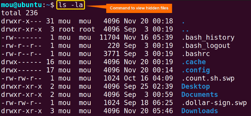 viewing hidden files with ls command