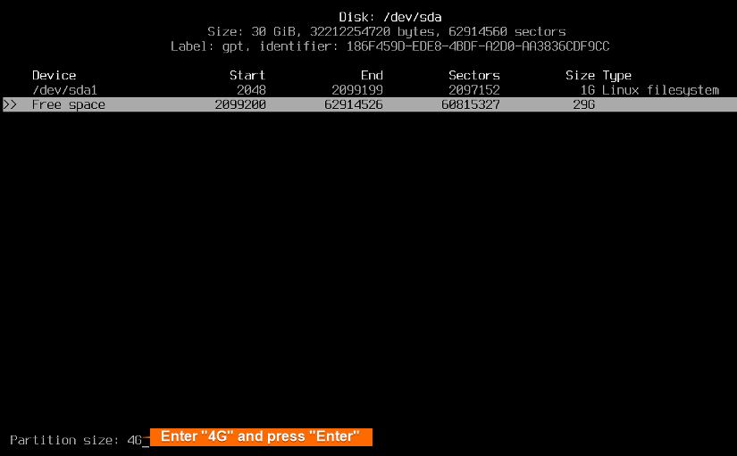 Create second partition and set 4GB space for that.