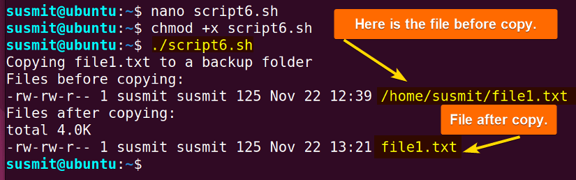 Bash file to copy the file1.txt to the new directory.