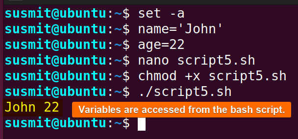 the set -a command has set two environment variables.