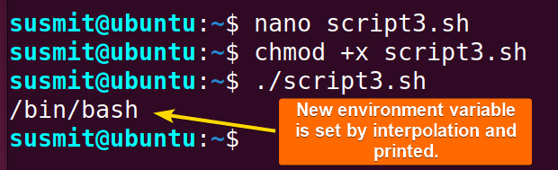 The value of SHELL variable has been saved as an environment variable.