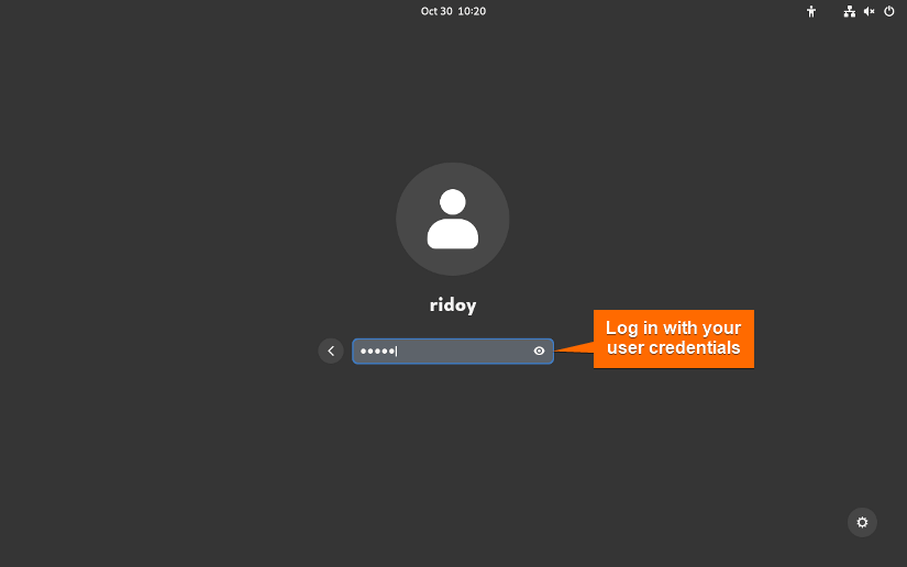 log in with your credentials