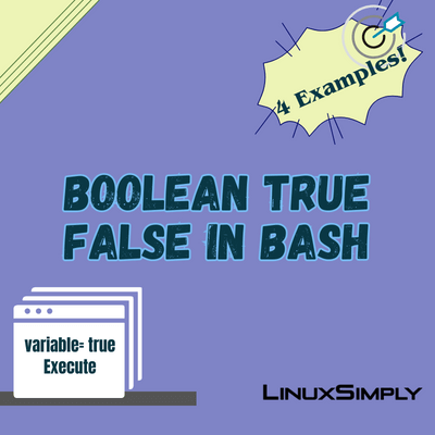 bash true false