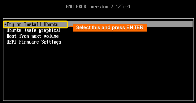 Select "Try or Install Ubuntu" and press ENTER.