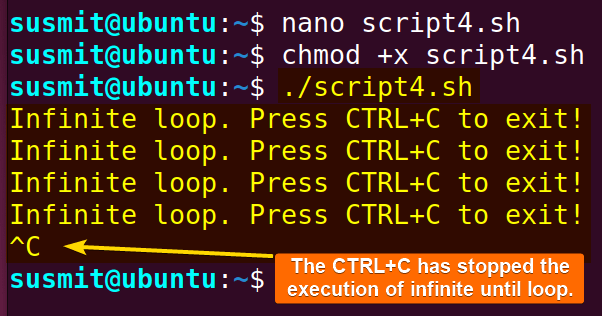 Execution of an infitine loop.